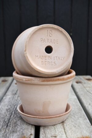 Urtepotte - Bergs Potter - Parade Rose 18 cm - Image 2