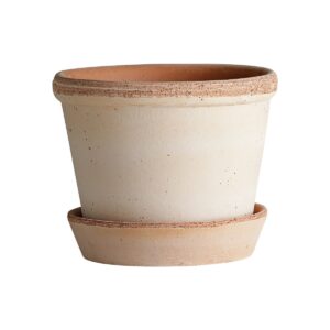 Urtepotte - Bergs Potter - Parade Rose 18 cm